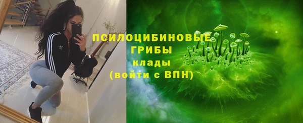 молекула духа Навашино