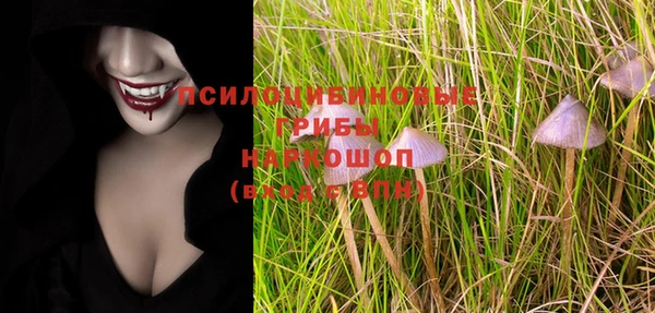 молекула духа Навашино