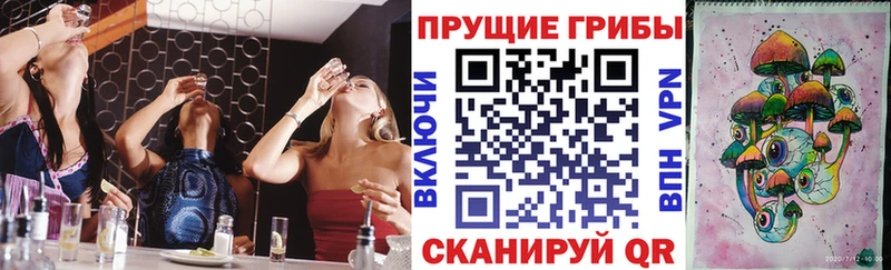 сколько стоит  MEGA зеркало  Псилоцибиновые грибы мицелий  Пудож 
